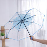 Stylish Transparent Printed Umbrella4