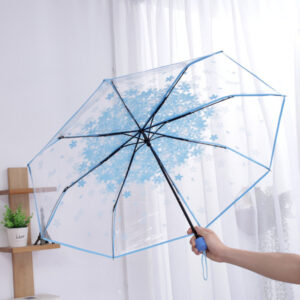 Stylish Transparent Printed Umbrella4