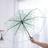 Stylish Transparent Printed Umbrella3