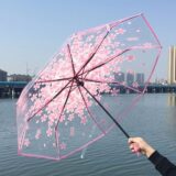 Stylish Transparent Printed Umbrella2