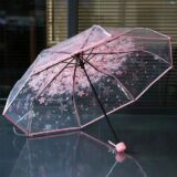 Stylish Transparent Printed Umbrella